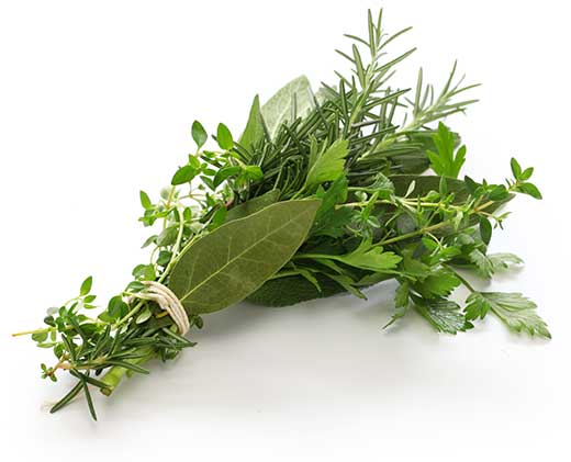 600pxherbs